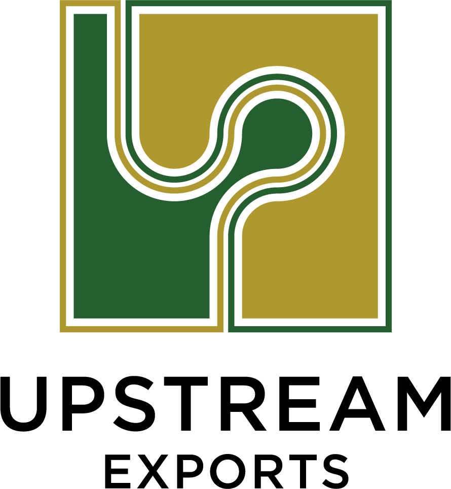 Canvas Logo